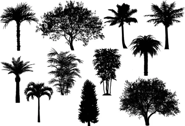 Tree Silhouette Collection Vektor Illustration Set — Stockvektor