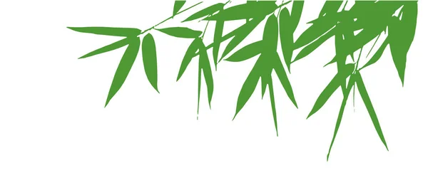 Bambu Blad Silhuett Vektor Illustration — Stock vektor