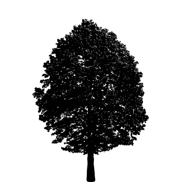 Sílhueta Árvore Ilustração Vetorial Plana — Vetor de Stock