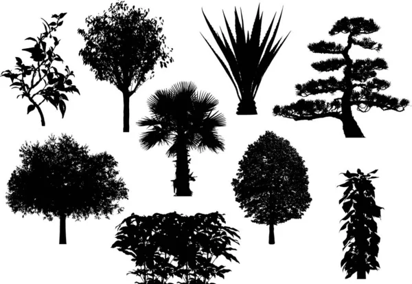 Tree Silhouette Collection Vektor Illustration Set — Stockvektor