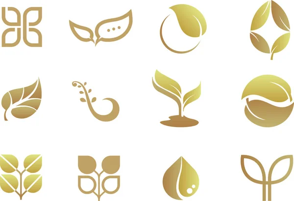 Leaf Icon Leaf Green Motif Logo Vector Illustration Set Gold — Stock Vector