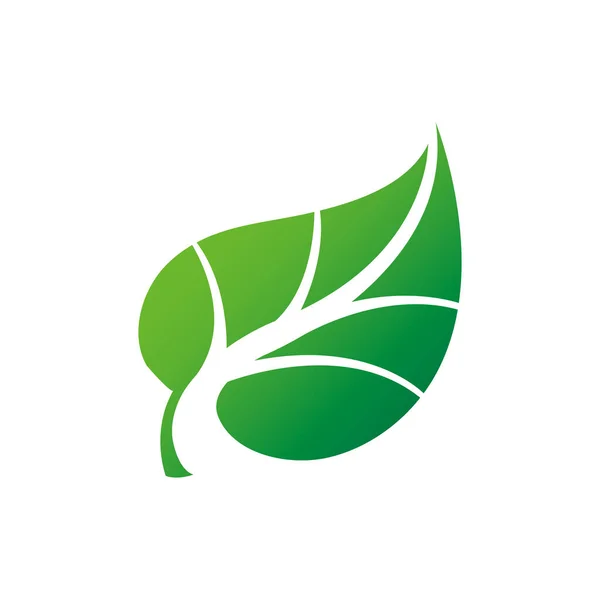 Blad Ikon Blad Grönt Motiv Logotyp Vektor Illustration — Stock vektor