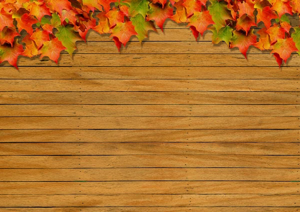 秋の木像 — ストック写真