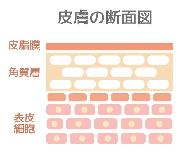 Illustration Coupe Peau Japonais — Image vectorielle