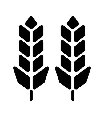 Tahıl, buğday, mısır, pirinç ikonu