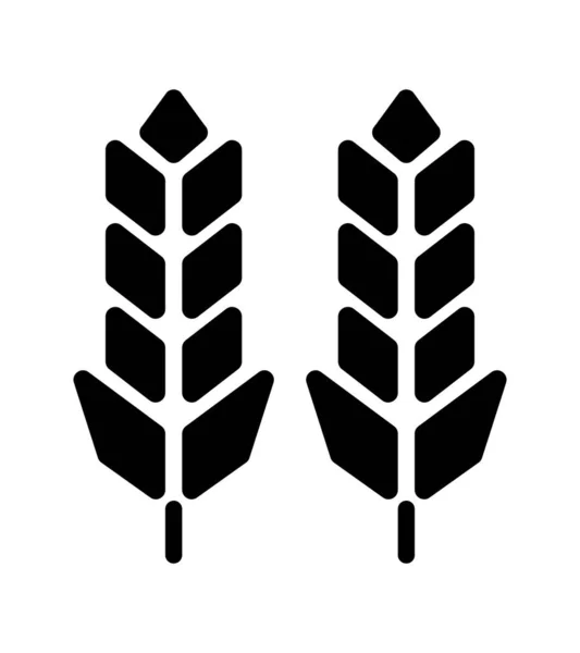 Grain Wheat Corn Rice Icon — Stock Vector