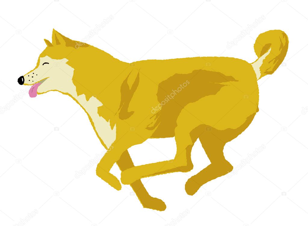 Running dog vector illustration