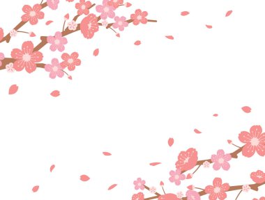 Kiraz çiçekleri arkaplan çizimi (bahar mevsimi teması ) 