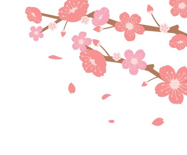 Kiraz çiçekleri dalları resimleme (bahar mevsimi teması )