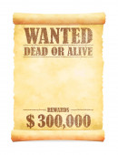 Grunged wanted paper template vector illustration / American Old West