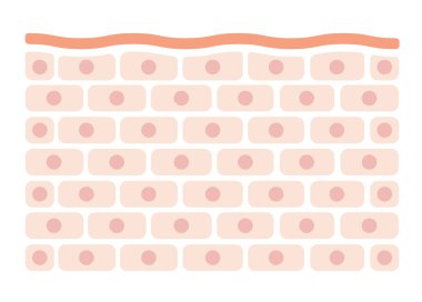 Deri hücre deseni düz illüstrasyon (kaba cilt )