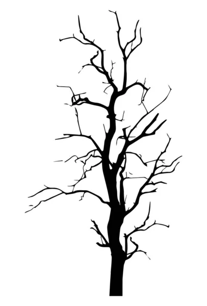 Old Leafless Tree Silhouette Vector Illustration — Stock Vector