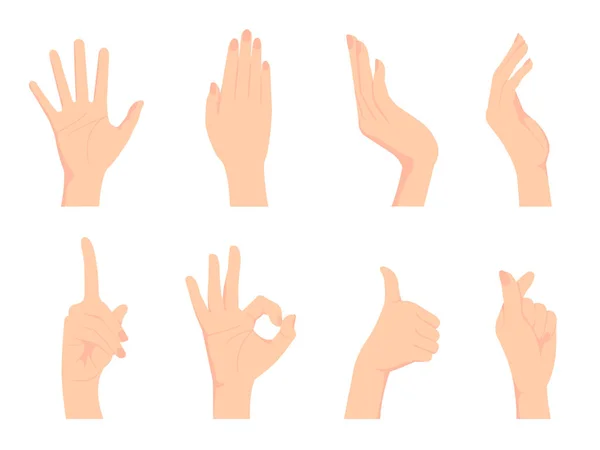Geste Main Féminine Signe Main Vectoriel Illustration Set Signe Pouce — Image vectorielle