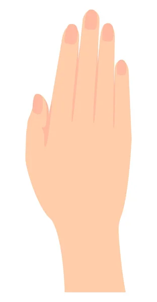Kobieta Ręka Gest Znak Ręki Wektor Ilustracja — Wektor stockowy