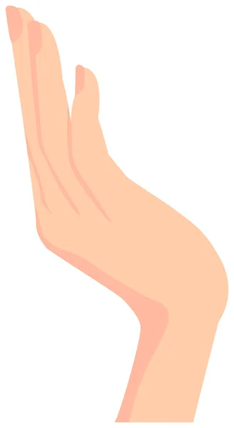 Weibliche Handgeste Handzeichen Vektordarstellung — Stockvektor