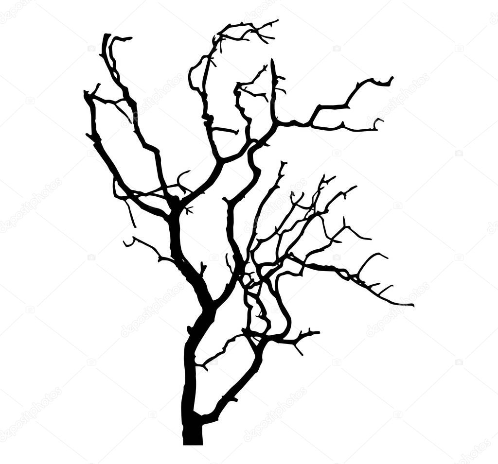 Old leafless tree silhouette vector illustration