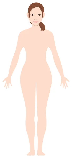 站立妇女赤身裸体轮廓 轮廓形状矢量图解 — 图库矢量图片