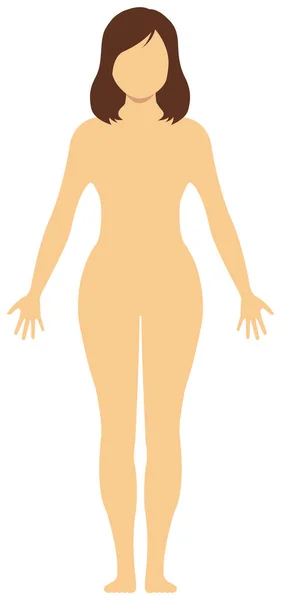 Gesichtslose Nackte Frau Nackter Körper Silhouette Umriss Formvektorillustration Asiatisch Japanisch — Stockvektor