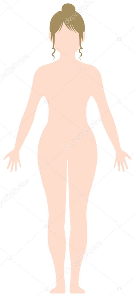 Faceless naked woman /nude body , silhouette , outline shape vector illustration /Caucasian (american,european etc.)