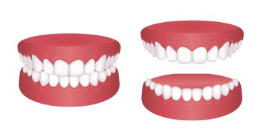 Normal teeth Vector illustration set clipart