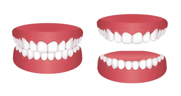 Dentes Normais Conjunto Ilustrações Vetoriais —  Vetores de Stock