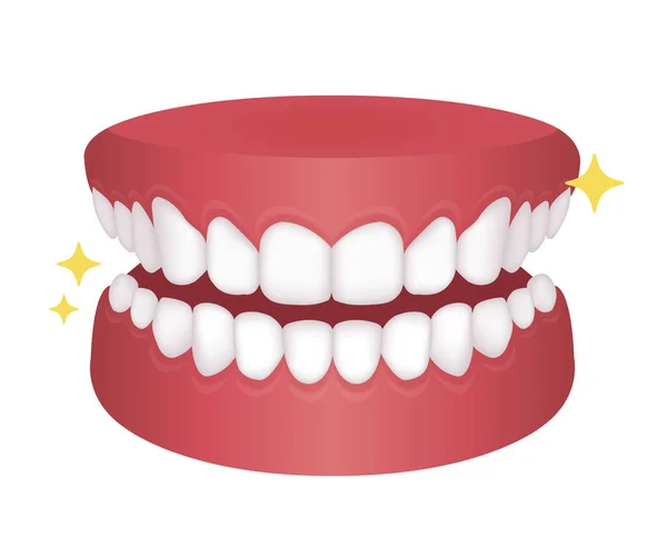 Dental Braces Flat Vector Illustration Text — Stock Vector