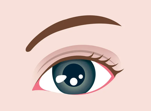 Vrouw Close Oog Vector Illustratie — Stockvector