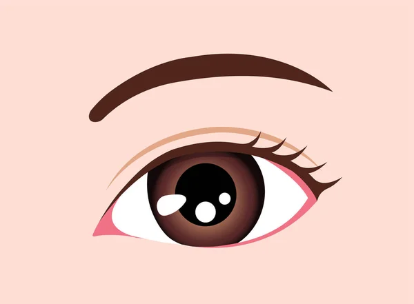 Feminino Close Eye Vector Illustration Asiático Japonês Coreano — Vetor de Stock