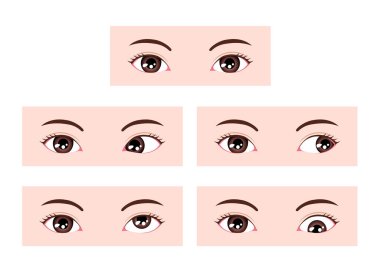 Strabismus vektör çiziminin türleri