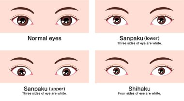 Çeşitli göz şekilleri (farklı göz boyut ve konum) vektör resimlemesi (Asya 'da sınıflandırmalar )