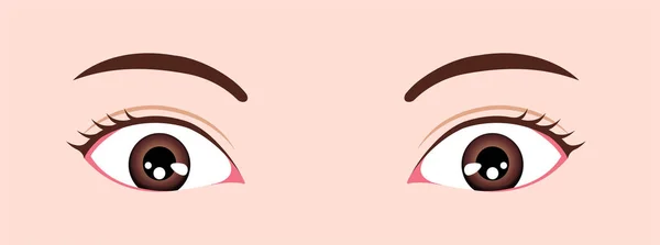 Augenformen Größe Und Position Des Augapfels Vektordarstellung — Stockvektor