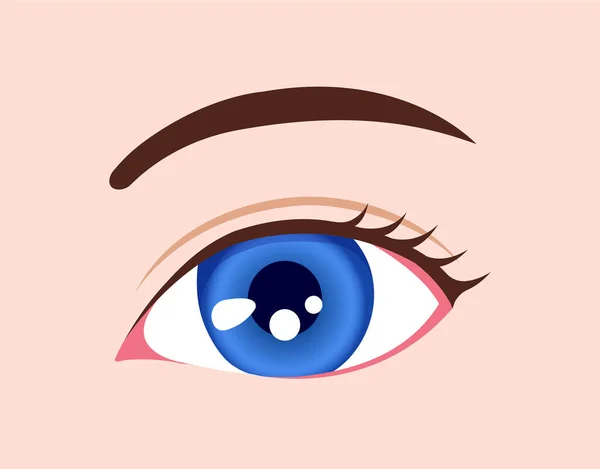 Illustration Couleur Des Yeux Globe Oculaire Humain Bleu — Image vectorielle