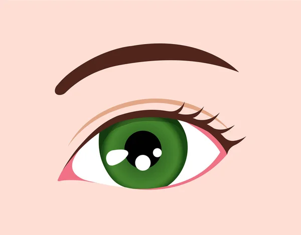 Ilustración Del Globo Ocular Humano Color Ojos Verde — Vector de stock