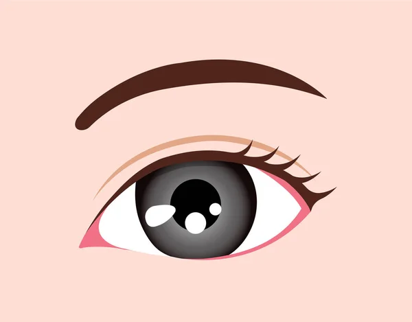 Human Eyeball Eye Color Illustration Gray — Stock Vector