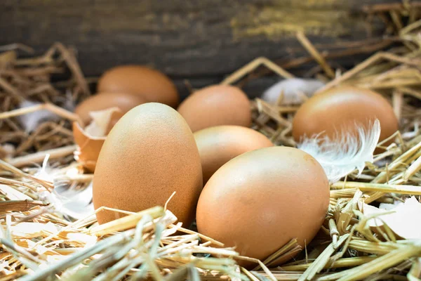 Sok Tojás Fészekben Szalmából Készül Gazdaságokban Csirkékből Nyert Élelmiszer Gazdáktól — Stock Fotó