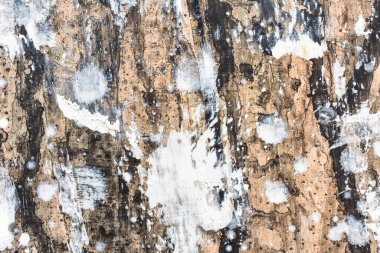 Soyut doku kirli ve çerçeveyi tırmalıyor. Toz parçacığı ve toz tanecikleri dokusu veya toz kaplama etkisi çerçeve için metin veya resim ve vintage grunge biçimi için boşluk.