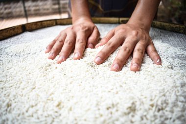 Ellerinde yasemin pilavı tutan Taylandlı kadınları kapatın. Sağlıklı gıdalar.