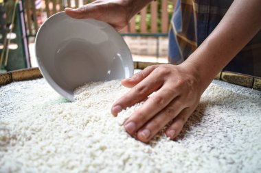 Ellerinde yasemin pilavı tutan Taylandlı kadınları kapatın. Sağlıklı gıdalar.