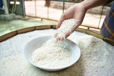 Ellerinde yasemin pilavı tutan Taylandlı kadınları kapatın. Sağlıklı gıdalar.