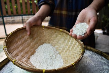 Ellerinde yasemin pilavı tutan Taylandlı kadınları kapatın. Sağlıklı gıdalar.