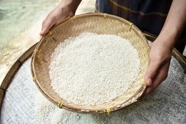 Ellerinde yasemin pilavı tutan Taylandlı kadınları kapatın. Sağlıklı gıdalar.