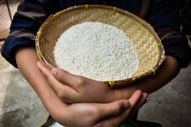 Ellerinde yasemin pilavı tutan Taylandlı kadınları kapatın. Sağlıklı gıdalar.