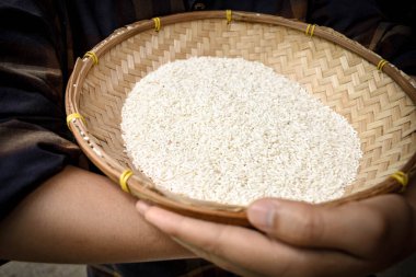 Ellerinde yasemin pilavı tutan Taylandlı kadınları kapatın. Sağlıklı gıdalar.