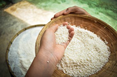 Ellerinde yasemin pilavı tutan Taylandlı kadınları kapatın. Sağlıklı gıdalar.