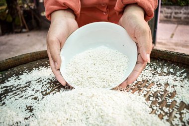 Ellerinde yasemin pilavı tutan Taylandlı kadınları kapatın. Sağlıklı gıdalar.