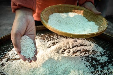 Ellerinde yasemin pilavı tutan Taylandlı kadınları kapatın. Sağlıklı gıdalar.