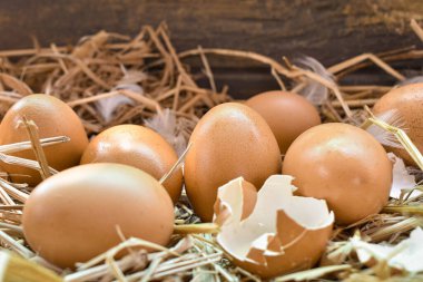 Yuvadaki birçok yumurta samandan yapılır. Çiftlikteki tavuklardan elde edilen yiyecekler. Çiftçilerden sağlıklı ürünler. Kırsal bölgelerden ürünler.