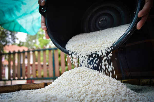 Acercarse Las Mujeres Tailandesas Sosteniendo Arroz Jazmín Sus Manos Productos — Foto de Stock