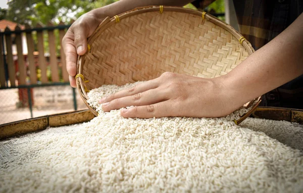 Ellerinde yasemin pilavı tutan Taylandlı kadınları kapatın. Sağlıklı gıdalar.