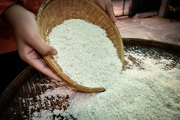 Acercarse Las Mujeres Tailandesas Sosteniendo Arroz Jazmín Sus Manos Productos — Foto de Stock